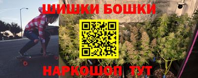 бошки Кингисепп