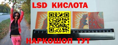 бошки Кингисепп