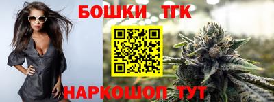 бошки Кингисепп