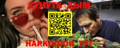 бошки Кингисепп