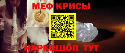 бошки Кингисепп