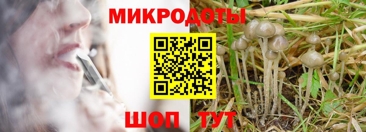 Псилоцибиновые грибы ЛСД Усть-Джегута